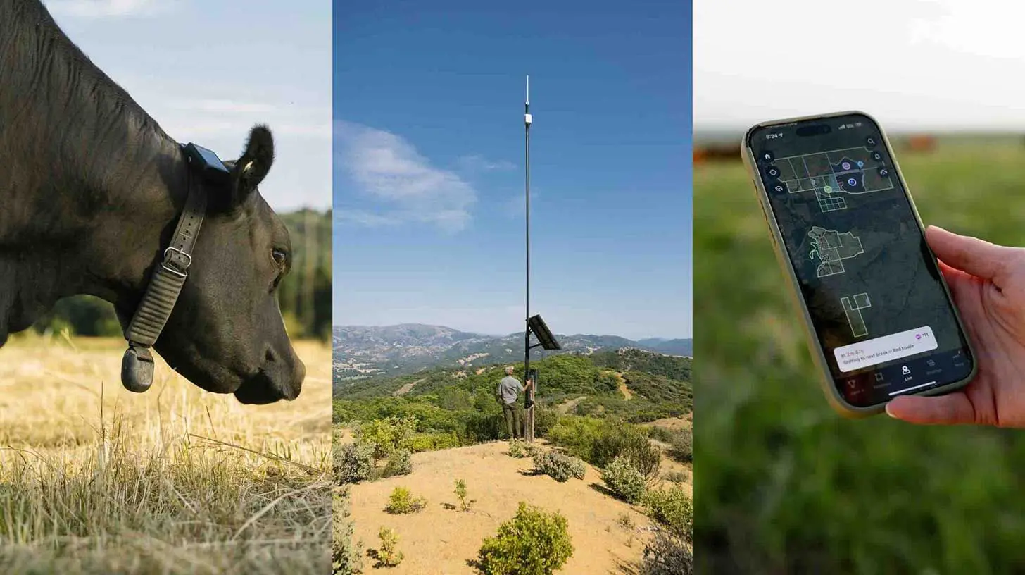 🐮 Halter的人工智能“Cowgorithm”估值接近20亿美元