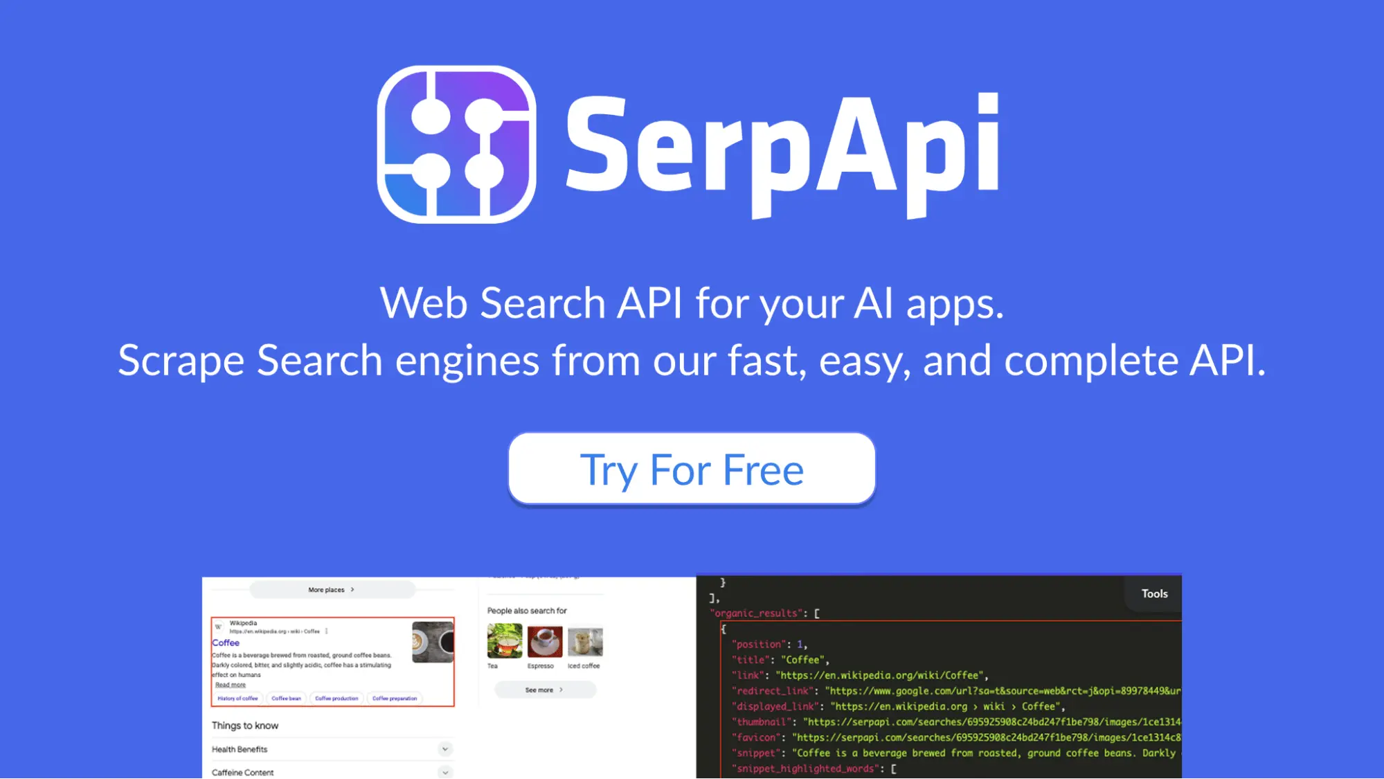 🔍 访问 Google 通过 API 获取搜索、地图以及更多实时数据